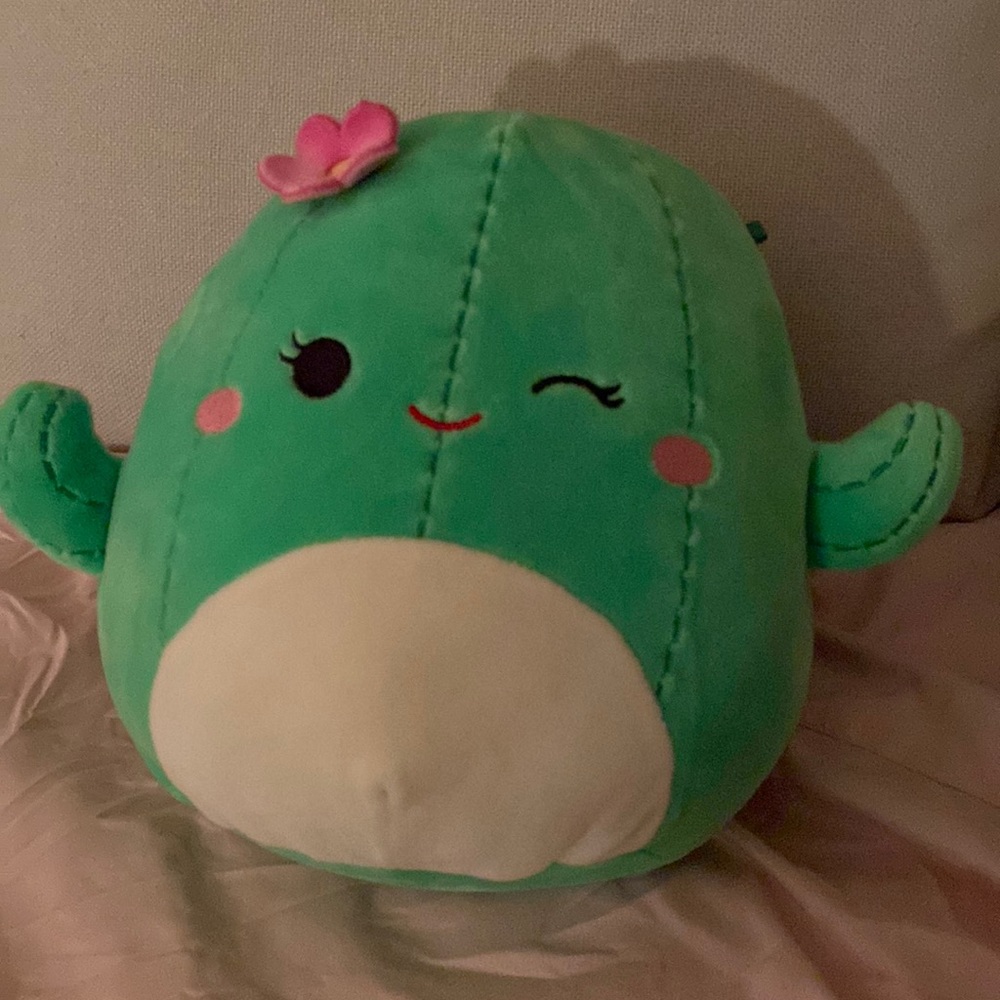 Cactus Squishmallow